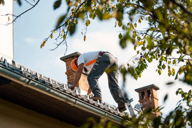 Best Residential Roofing Contractor  in Waukon, IA