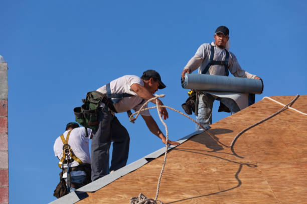Best Storm Damage Roof Repair  in Waukon, IA