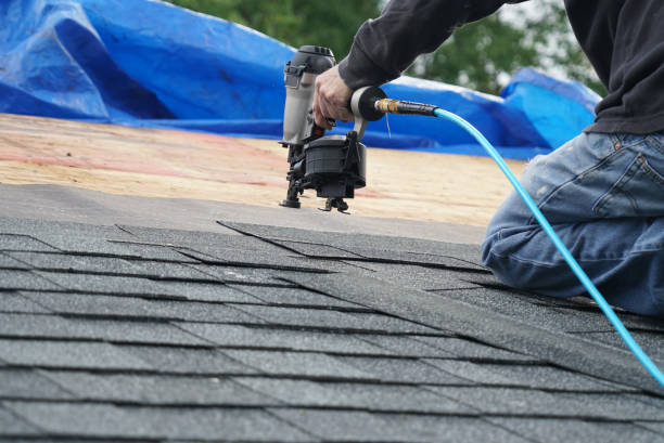 Best Metal Roofing Contractor  in Waukon, IA