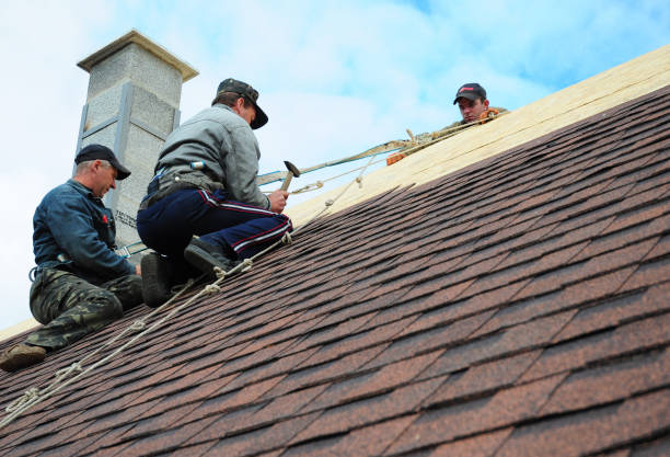 Best Commercial Roofing Services  in Waukon, IA
